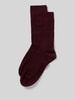 Christian Berg Men Socken mit Label-Print im 2er-Pack Pflaume