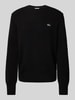 Lacoste Regular fit gebreide pullover van pure wol Zwart