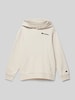 CHAMPION Hoodie met labelstitching Steengrijs