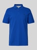 s.Oliver RED LABEL Regular Fit Poloshirt aus reiner Baumwolle mit Label Stitching Royal