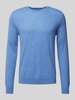 s.Oliver BLACK LABEL Regular Fit Strickpullover aus reiner Schurwolle Hellblau