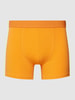 Colorful Standard Boxershort met elastische band, model 'Classic' Oranje