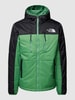 The North Face Jack met labeldetails, model 'HIMALAYAN' Zachtgroen