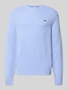Lacoste Regular fit gebreide pullover van pure wol Lichtblauw