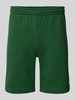 Lacoste Regular Fit Sweatshorts mit elastischem Bund Gruen