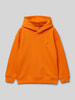 Tommy Hilfiger Kids Hoodie met capuchon Oranje