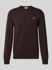 Lacoste Regular Fit Strickpullover aus Baumwoll-Mix  Dunkelbraun