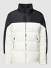 CHAMPION Steppjacke mit Stehkragen Offwhite