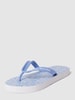 ARMANI EXCHANGE Teenslippers met labeldetails Lichtblauw