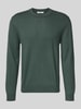 SELECTED HOMME Regular fit gebreide pullover van zuivere merinowol, model 'TRAY' Donkergroen