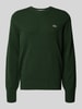 Lacoste Regular fit gebreide pullover van pure wol Donkergroen