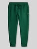 Polo Ralph Lauren Regular Fit Sweathose aus Baumwoll-Mix Dunkelgruen