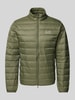 EA7 Emporio Armani Daunenjacke mit Daunen-Federn-Füllung Oliv