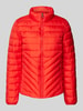 s.Oliver RED LABEL Regular Fit Steppjacke mit Stehkragen Rot