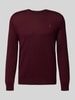 Polo Ralph Lauren Gebreide pullover van merinowol Bordeaux