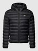 Lacoste Steppjacke mit Kapuze Black