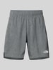 The North Face Regular Fit Shorts mit Label-Print Graphit