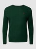 Polo Ralph Lauren Big & Tall PLUS SIZE gebreide pullover met kabelpatroon Donkergroen