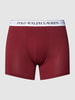 Polo Ralph Lauren Underwear Obcisłe bokserki z elastycznym paskiem z logo model ‘BOXER BRIEF-3 PACK’ Bordowy