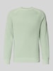 Tom Tailor Denim Regular fit gebreide pullover van zuiver katoen Mintgroen