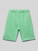 Lacoste Sweatshorts mit elastischem Bund Hellgruen