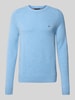 Tommy Hilfiger Regular Fit Strickpullover aus feinster Wolle  Hellblau
