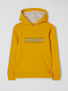 Jack & Jones Hoodie met logoprint, model 'Friday'  Mosterdgeel
