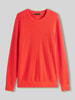 Tommy Hilfiger Regular Fit Strickpullover aus reiner Baumwolle Orange
