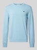 Lacoste Strickpullover mit Logo-Patch Hellblau