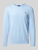 Polo Ralph Lauren Strickpullover mit Rundhalsausschnitt Hellblau