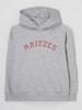 Raizzed Hoodie mit Logo-Print Modell 'Charlotte'  Hellgrau meliert