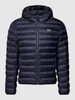 Lacoste Gewatteerd jack met capuchon Donkerblauw