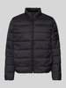 Pepe Jeans Regular Fit Steppjacke mit Stehkragen Black