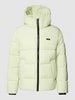 CK Calvin Klein Steppjacke mit Label-Patch Neon Gruen