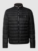 BOSS Steppjacke mit Label-Patch Modell 'Darolus' Black