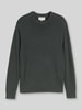 Tom Tailor Regular Fit Pullover aus reiner Baumwolle Oliv