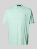 Polo Ralph Lauren Big & Tall PLUS SIZE poloshirt met logostitching Appeltjesgroen