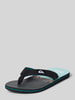 Quiksilver Teenslippers met labelpatch model 'MOLOKAI LAYBACK II' Marineblauw