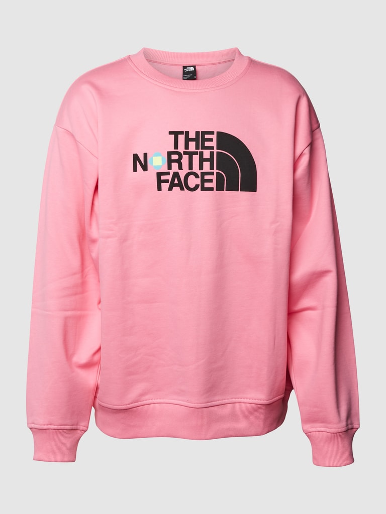 Pink north face hoodie hotsell