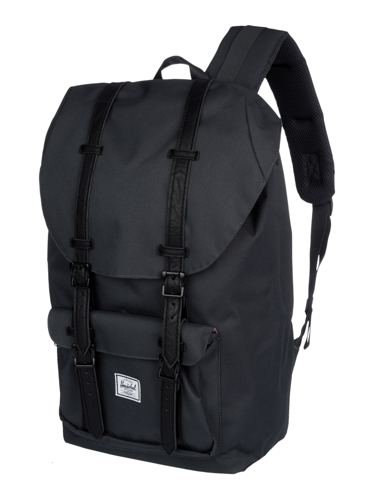 Herschel Rucksack mit Laptopfach (kitt) online kaufen