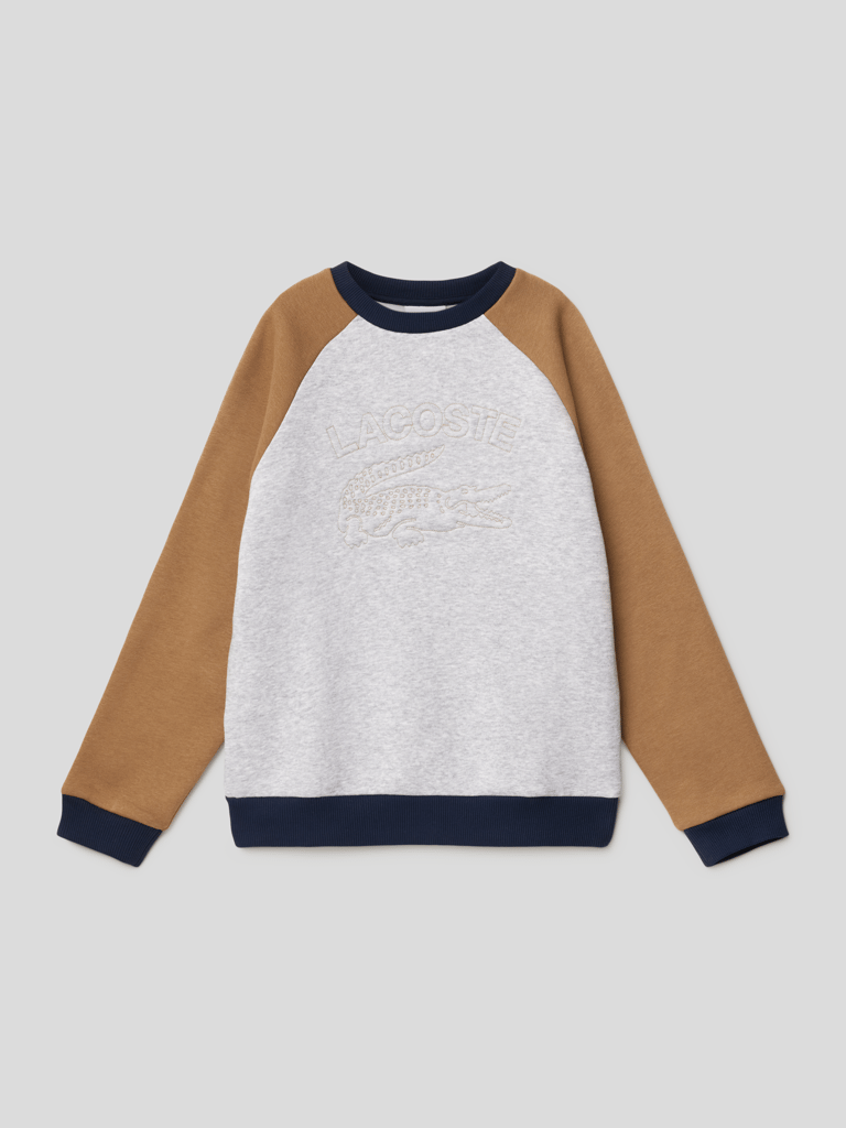 Lacoste sale block sweatshirt