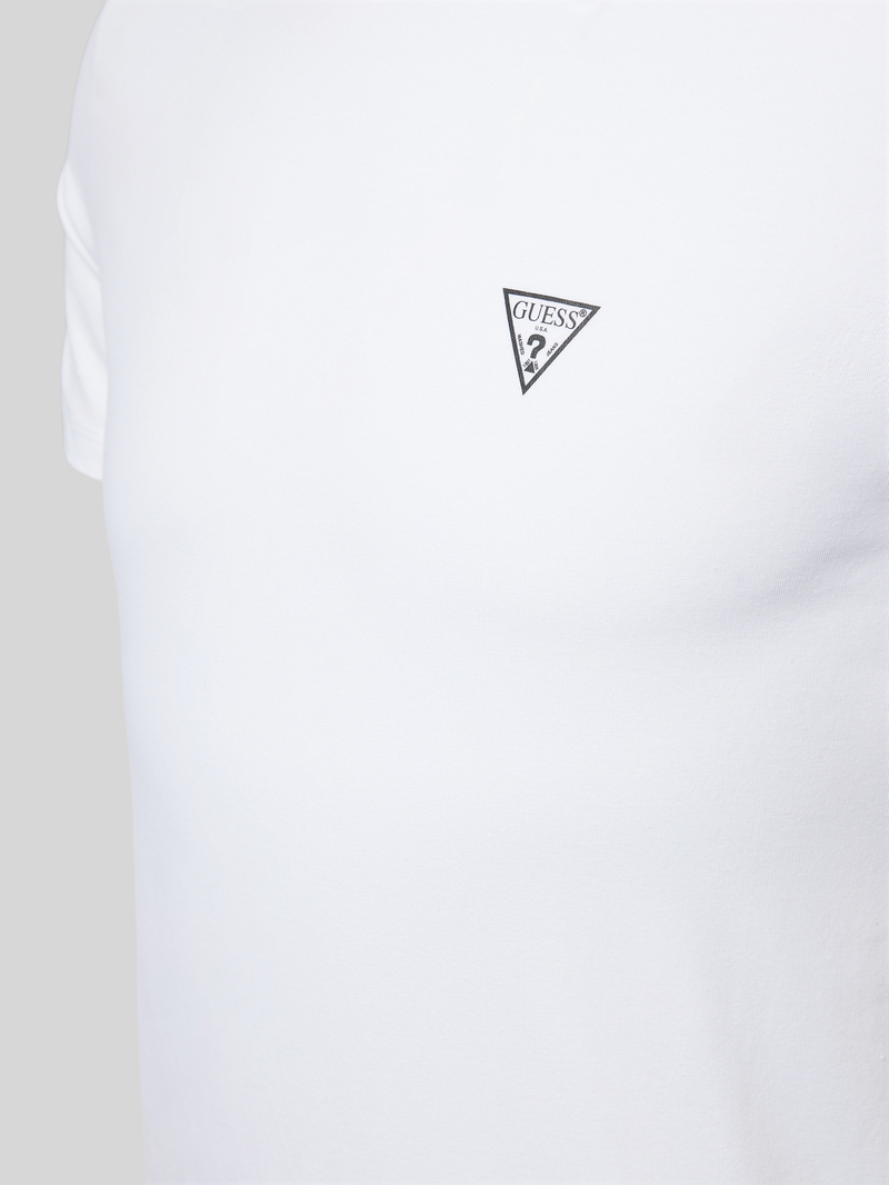 Guess T-shirt met V-hals in een set van 2 stuks model 'CALEB HERO'