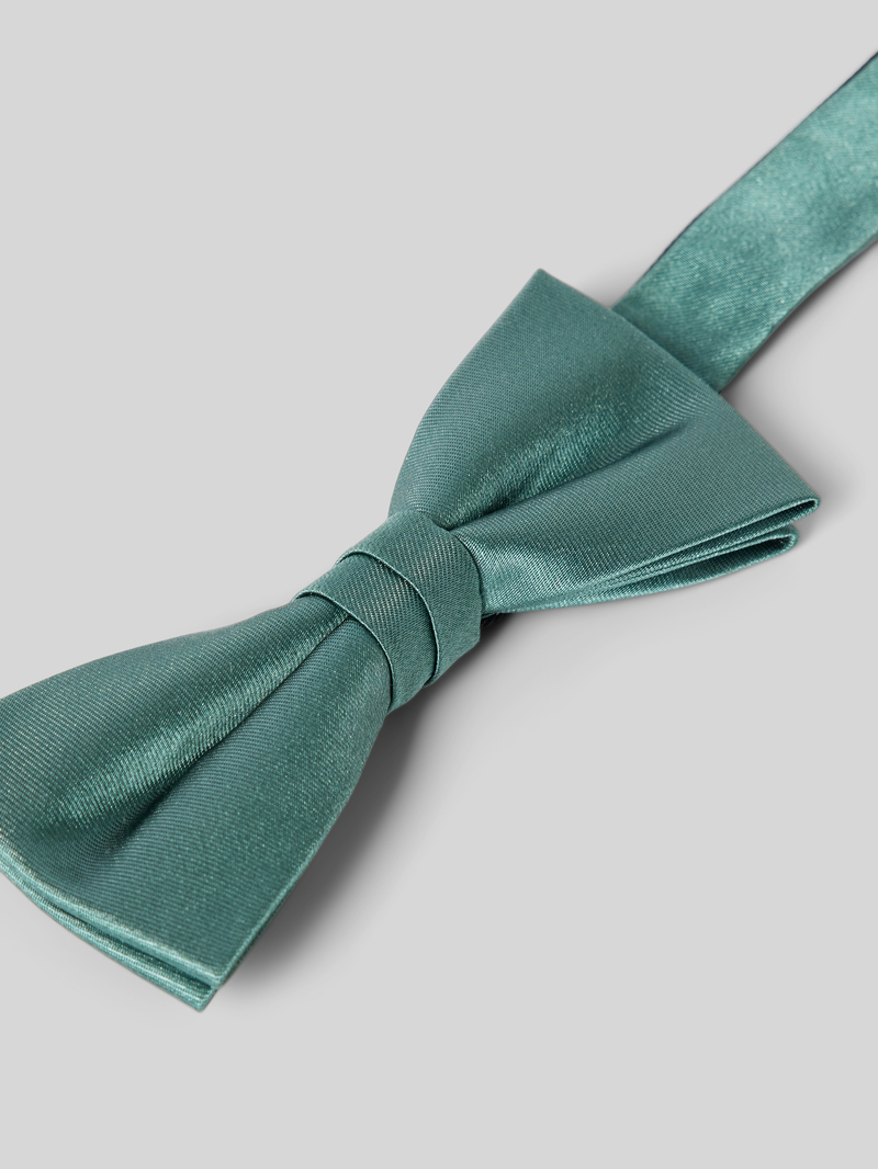 Willen Strik van zijde