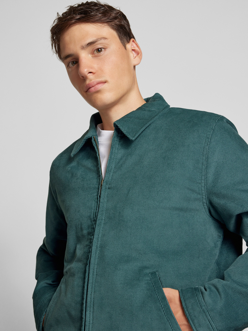 Dickies Jack in ribcordlook model 'EISENHOWER'