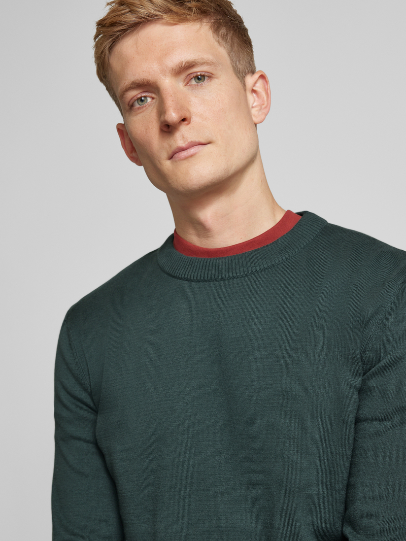 Tom Tailor Denim Regular fit gebreide pullover met ronde hals