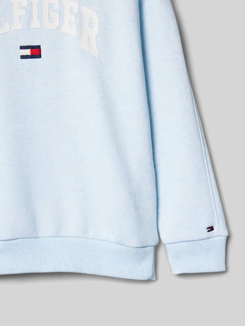 Tommy Hilfiger Kids Hoodie met labelstitching model 'VARSIRY'