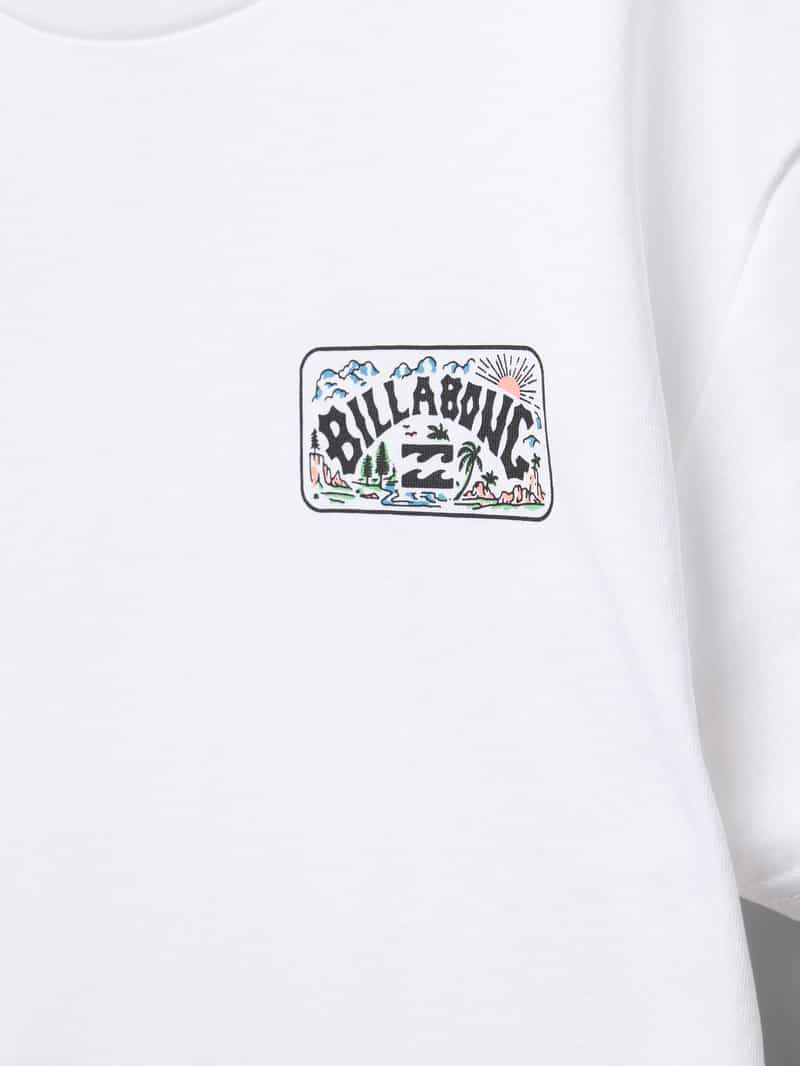 Billabong T-shirt met ronde hals model 'SCENIC ARCH'