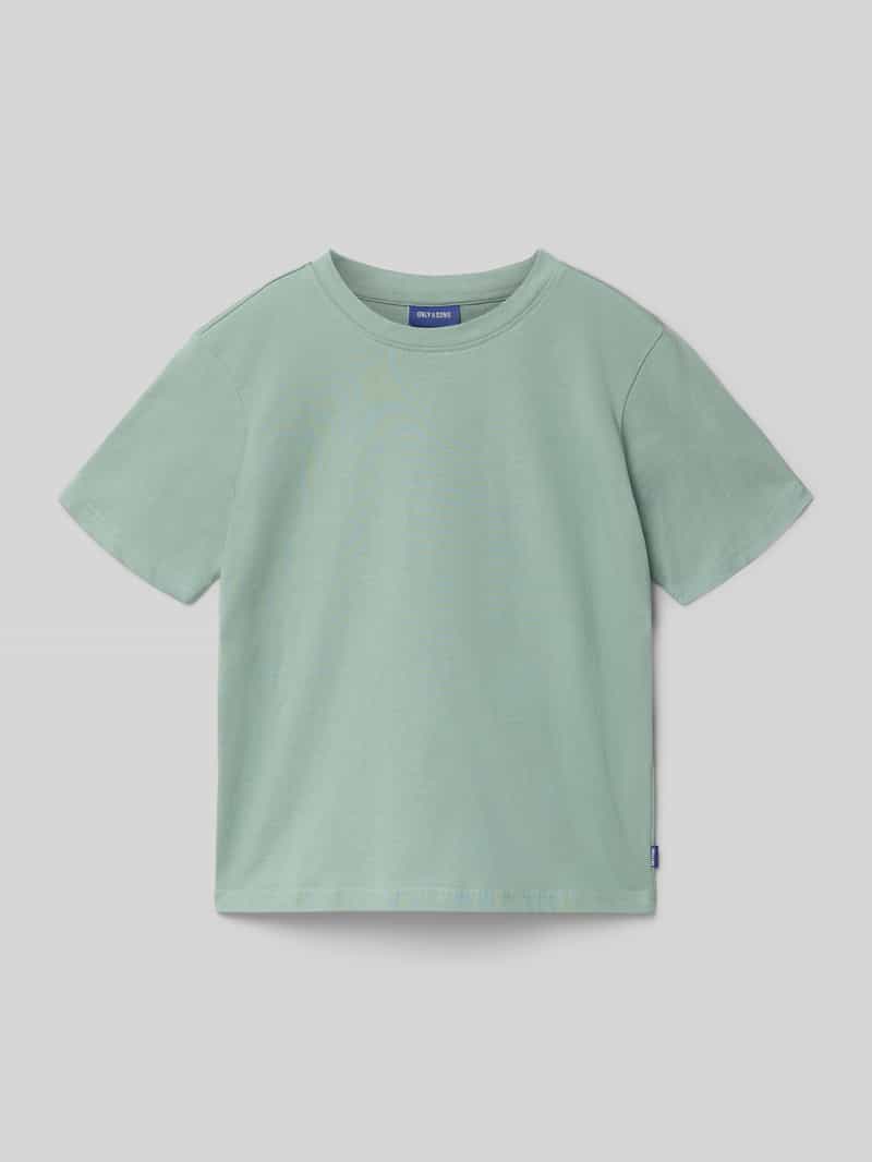 Only & Sons Regular fit T-shirt van puur katoen model 'FRED LIFE'