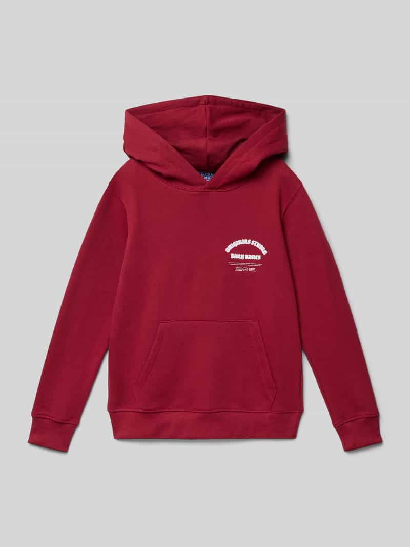 jack & jones Hoodie met capuchon model 'MEADOWS'