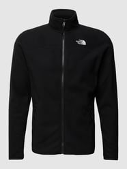 Fleecejacke mit Label-Stitching Modell 'Glacier' von The North Face Grau / Schwarz - 40